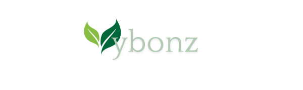 Vybonz