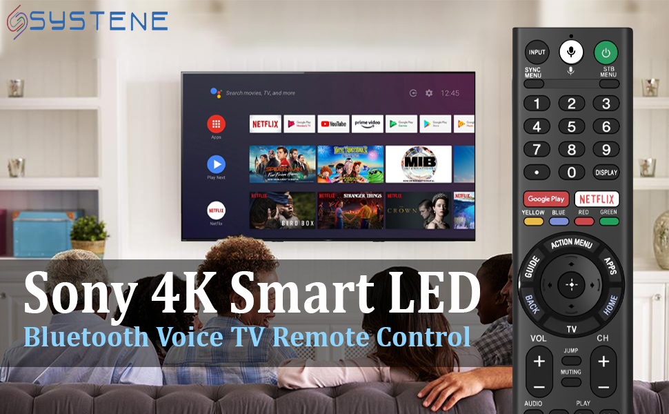 Sony Voice Remote