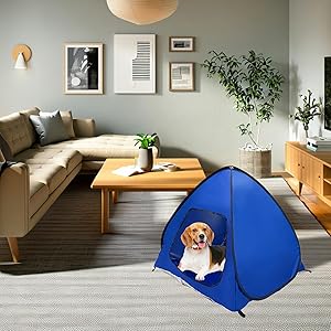 Comfortable Shelter for Pets