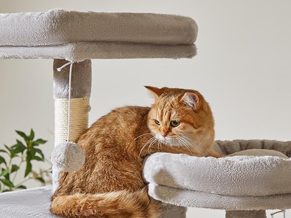 Amazon.com : Taoqimiao 76-Inch Cat Tree Cat Tower for Indoor