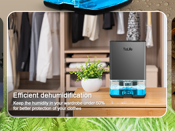 Dehumidifier for Home