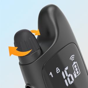 dog training collar for small dogs