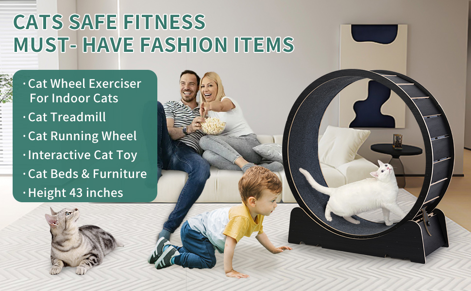 cat wheels for indoor cats