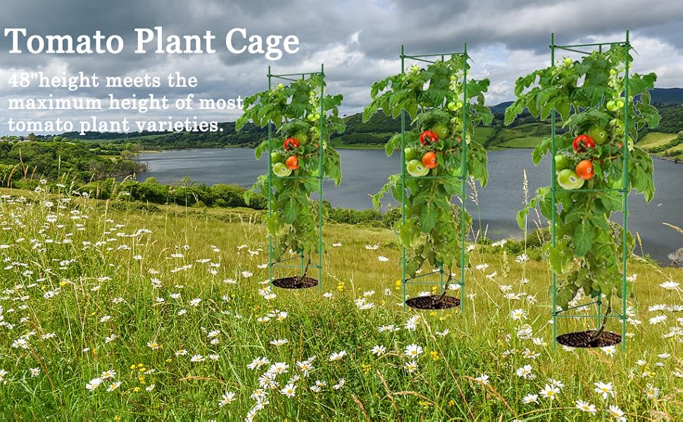 tomato cage,garden trellis