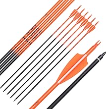 Carbon Arrows