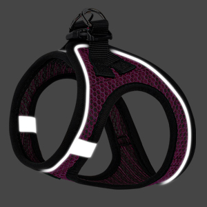 reflective cat harness