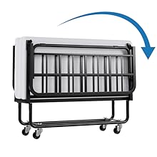 Ferlizer Folding Bed