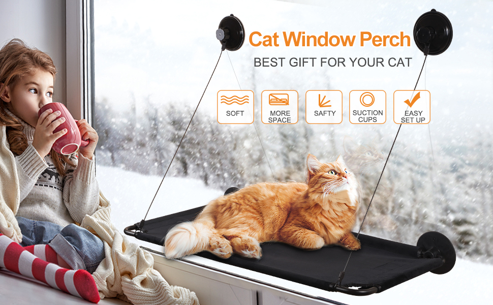 cat window perch