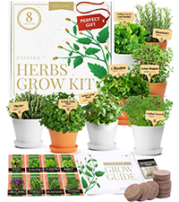 HERB KIT, HERB, HERBS, basil, kit, start kit, gardening, gift