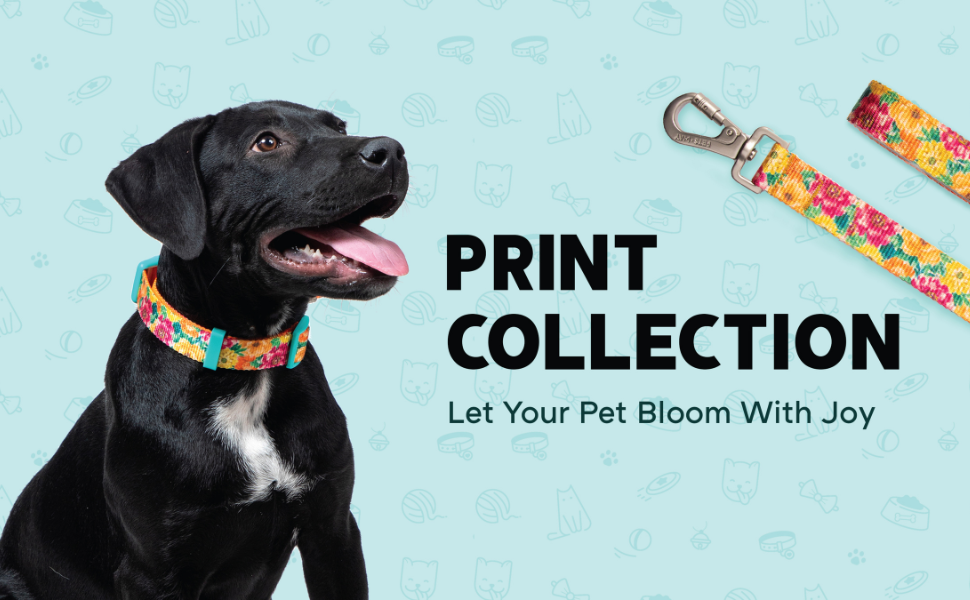 Dog Printed Collar