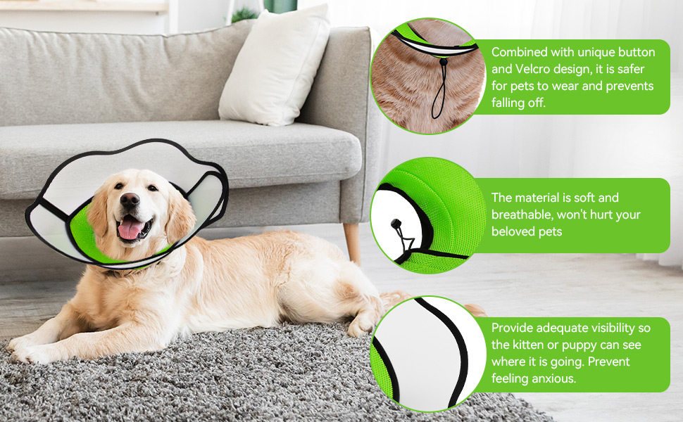dog cone collar