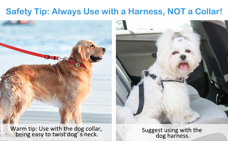 3 Pack Dog Seat Belts for Car