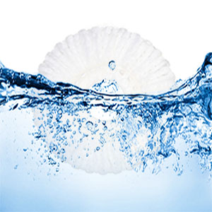 mop head replacement for hurricane