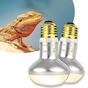 Reptile Heat Lamp