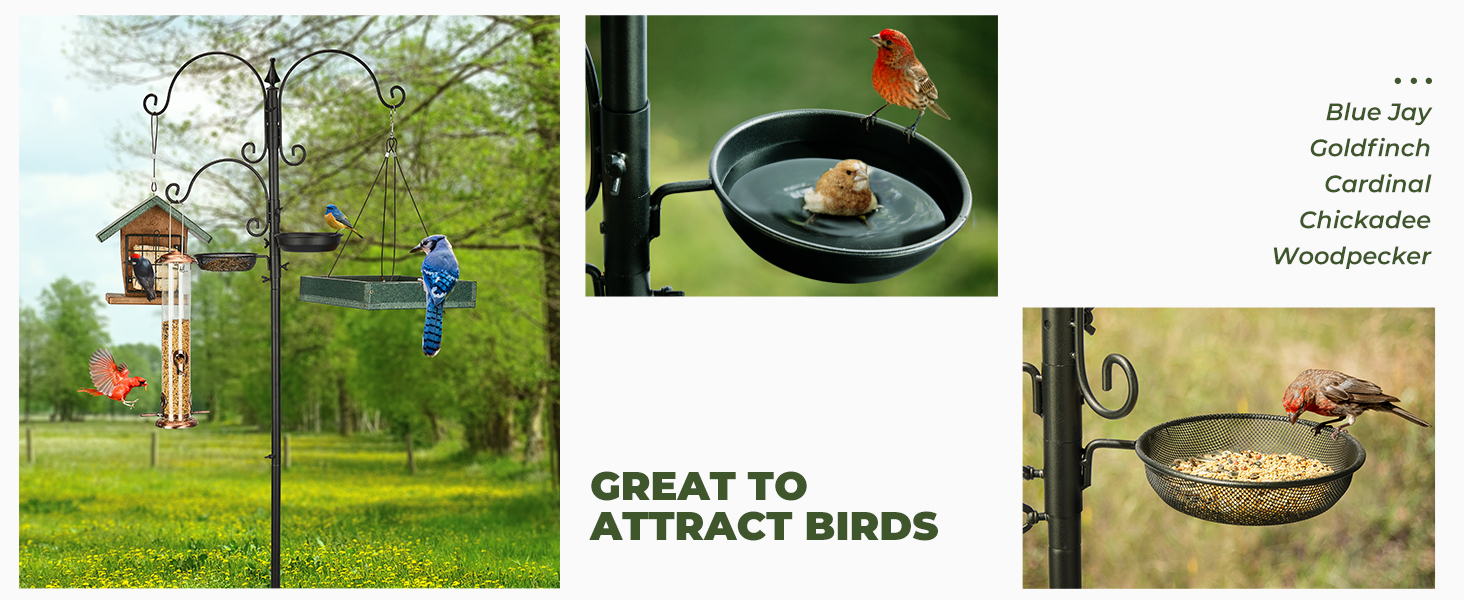 Kingsyard Bird Feeding Station Kit, 85" Bird Feeder Pole