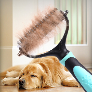 dog brush
