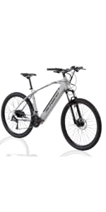 F.lli Schiano e-bike e-bike pedelec electric bike 28 inches