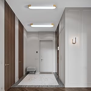 Ceiling Light for Corridor
