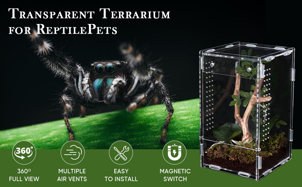 jumping spider enclosure