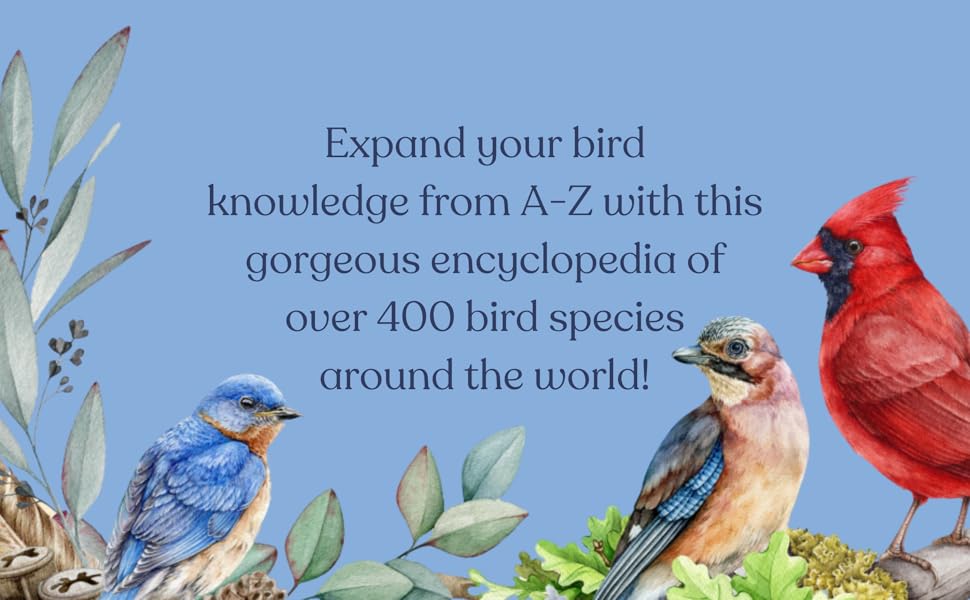 語学・辞書・学習参考書 A Dictionary of BIRDS A Dictionary of birds : Free Download, Borrow, and Streaming