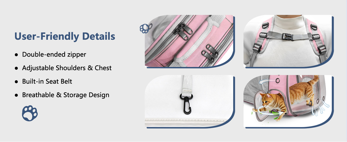 portable cat bookbag