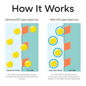 Optimus - how it works