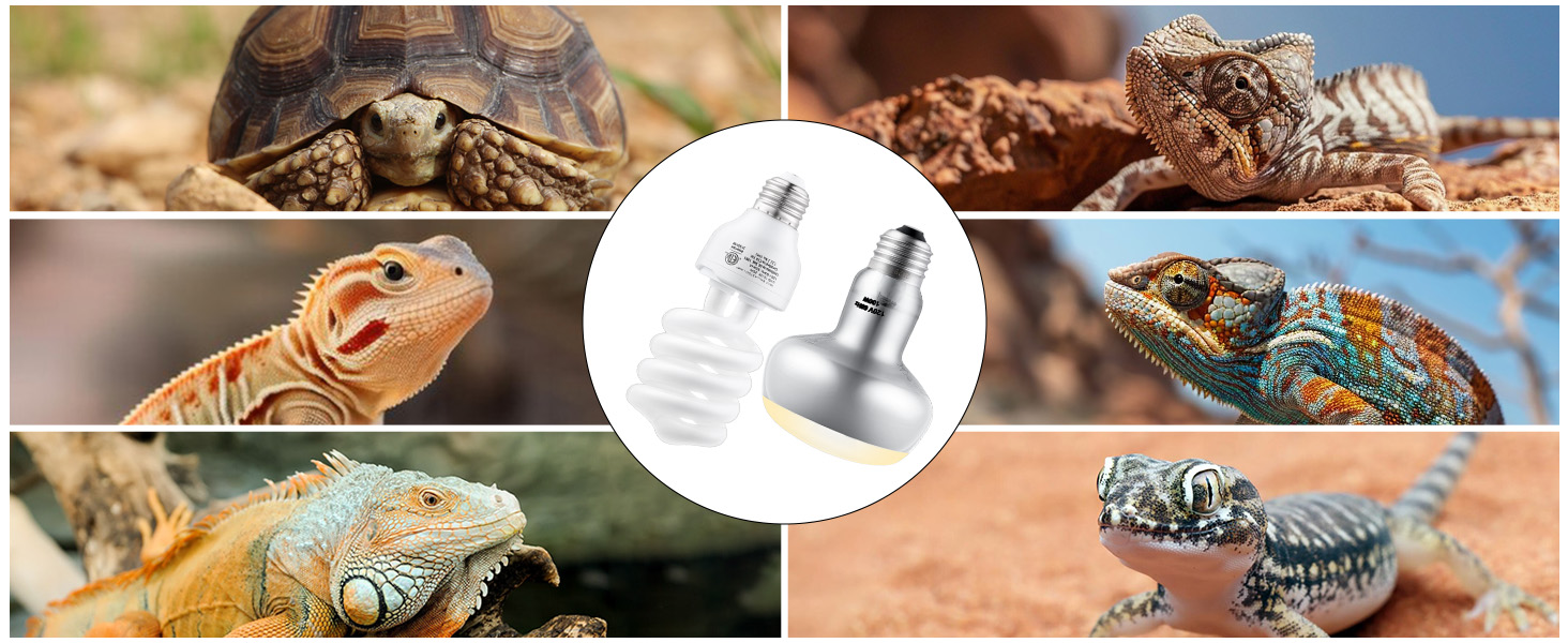 UVB light bulb for reptiles lights 