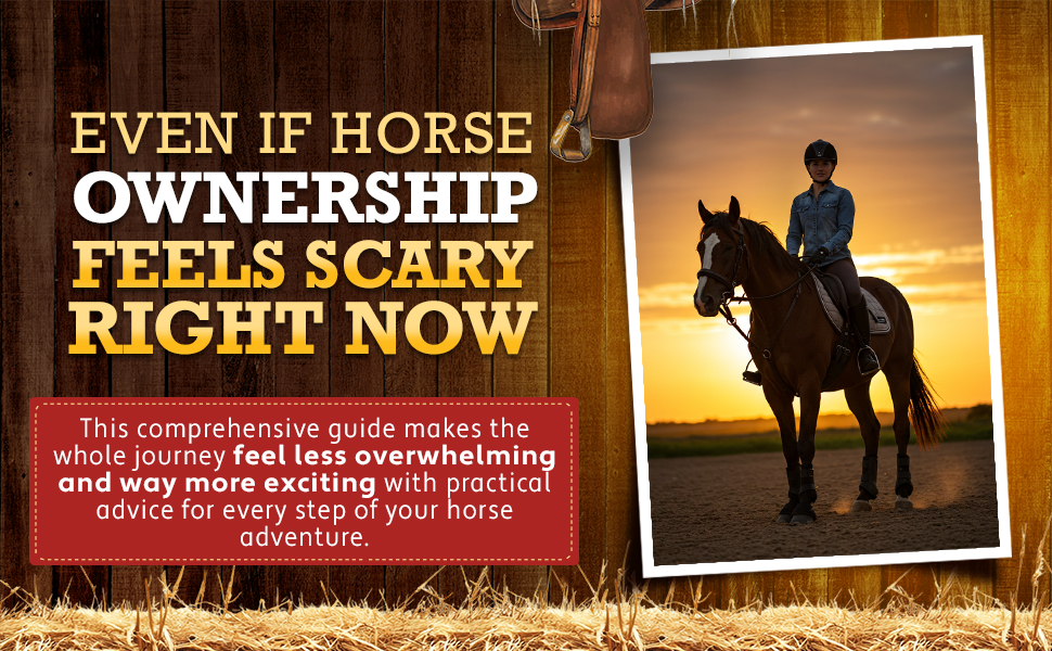 Excited for Your First Horse… But Unsure Where to Begin?