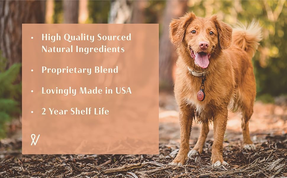 relief for cracked chapped dog paws