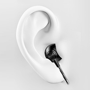 Web Conference Earphone