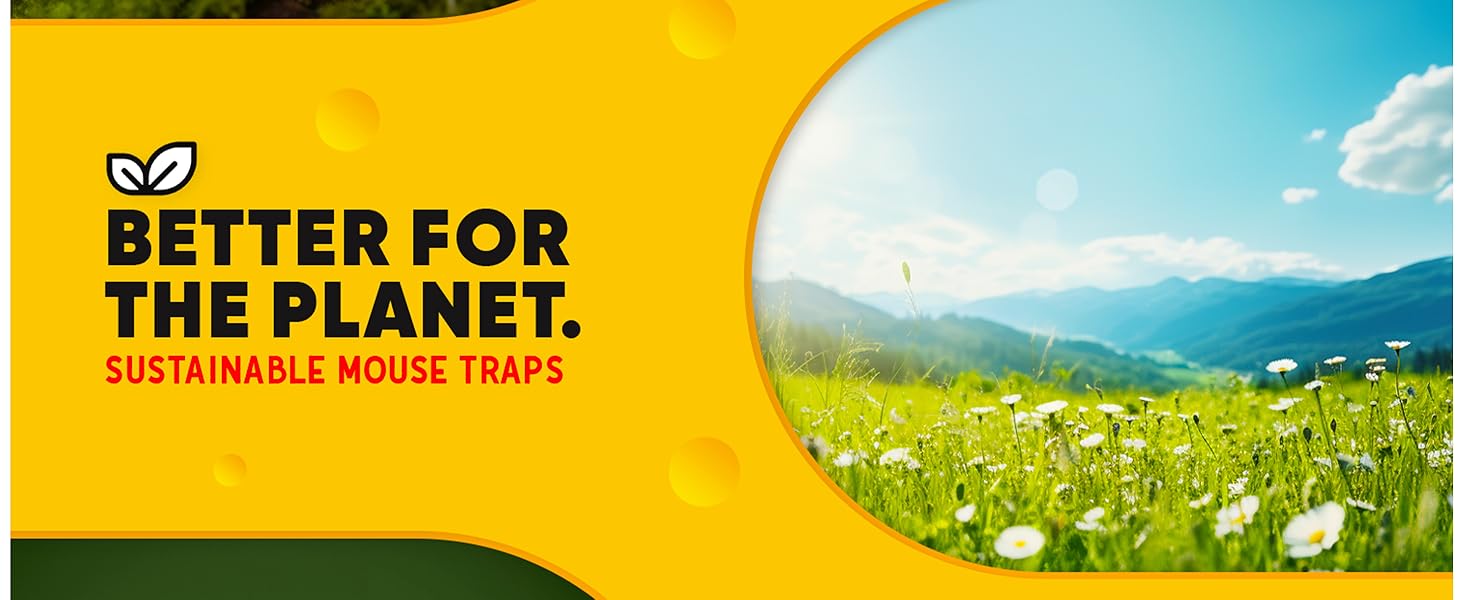 Large manufacture image 6