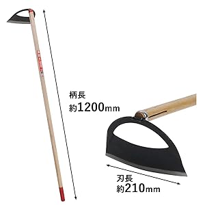 値下げ❗️ウリ坊　剥製　30cm Amazon | イーバリュー(E-Value) 草削り 半月型 窓あけ 全鋼