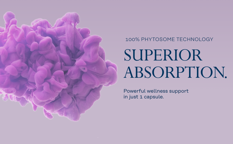 berberine supplement hcl capsules pills phytosome ampk activator keto diet metabolism high absorptio