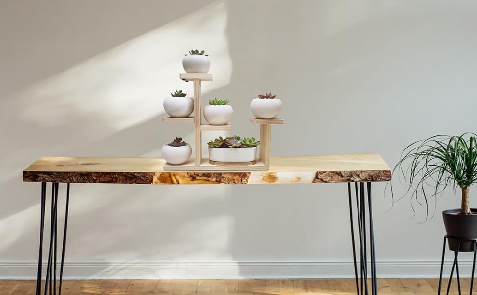 Decoeco Wooden Desktop Plant Stand Indoor Windowsill Plant