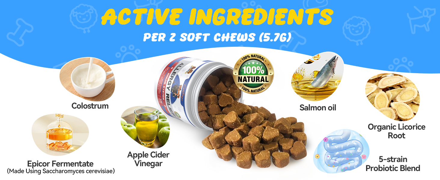 allergy relief for dogs itching