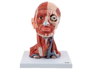 Small manufacture image 10