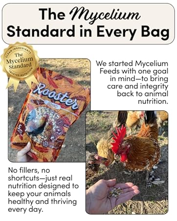 Mycelium Feeds, Organic Bird Food, Rooster Feed, Organic, Non-GMO, Clean Bird Seed, Natural
