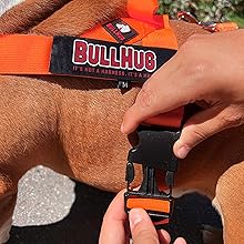 Easy to Buckle