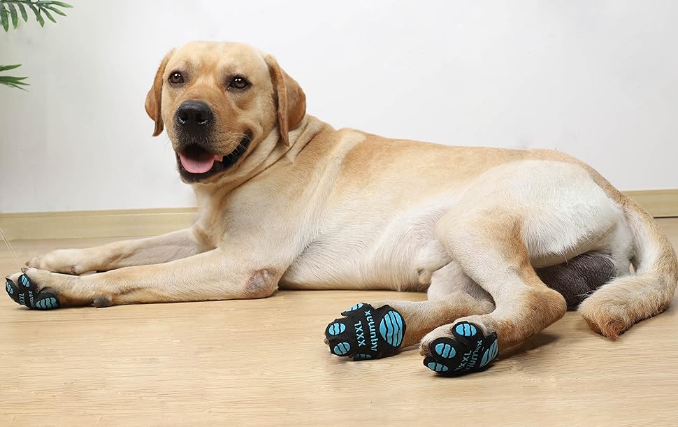 Amazon 犬用 爪先 プロテクター 滑り止め 爪先 グリップ トラクションパッド 老犬用 歩行アシスト 弱った爪先 足を補強 ドッグ シューズ ブーティー ソックス 交換できる S 3色12セット 48枚入り Aqumax ブーツ プロテクター 通販 Amazon 犬用 爪先 プロテクター 滑り止め 爪先 グリップ トラクションパッド 老犬用 歩行アシスト 弱った爪先 足を補強 ドッグ シューズ ブーティー ソックス 交換できる S 3色12セット 48枚入り Aqumax ブーツ プロテクター 通販