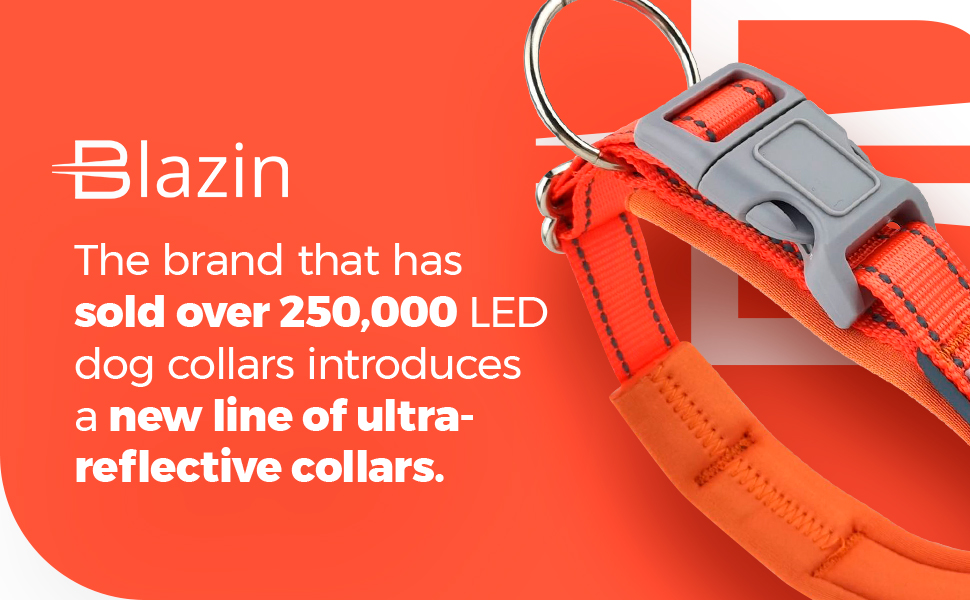 Blazin Safety Reflective Dog Collar with Reflectech Piping