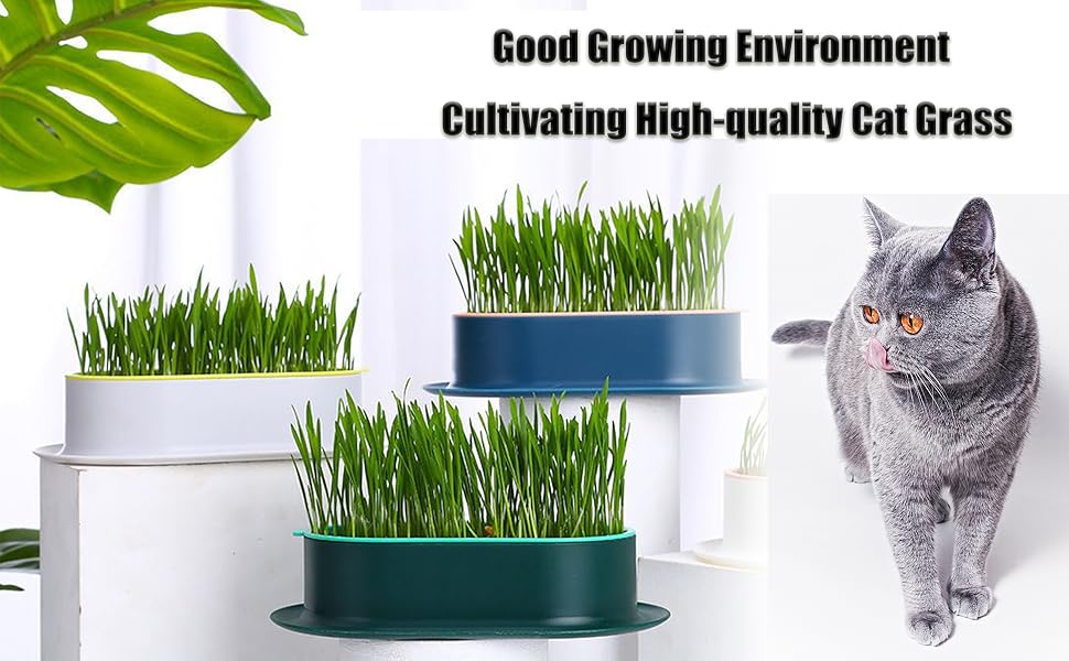 AEdlAy Cat Grass Planter(no Seeds Included), Cat Grass for