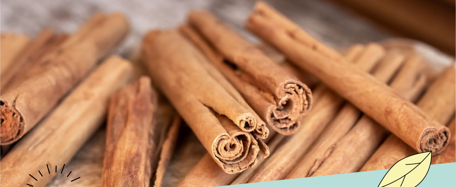 Ceylon cinnamon - Alpi Nature