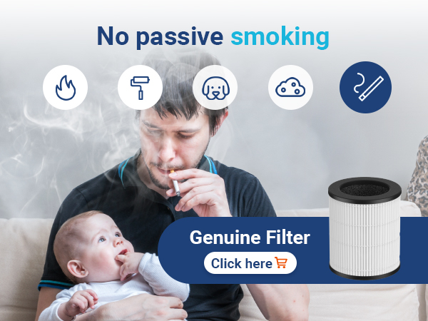 air purifiers for smoke