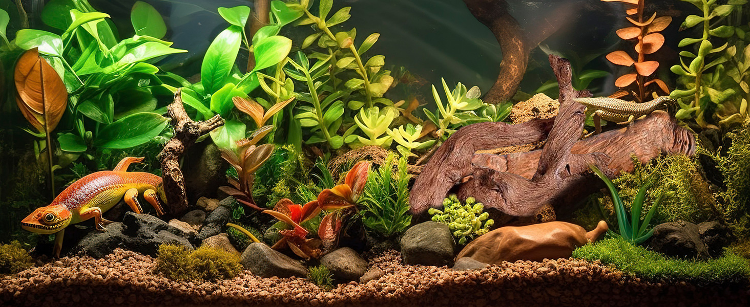 driftwood for reptiles