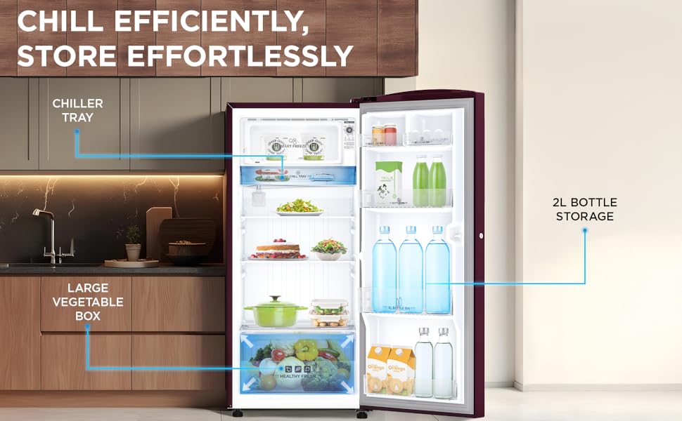 Midea 187L Wine Flower DC Ref