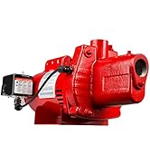 Red Lion RJS-75-PREM 3/4 HP, 16 GPM, 115/230 Volt, Premium Cast Iron Shallow Well Jet Pump, Red, ...