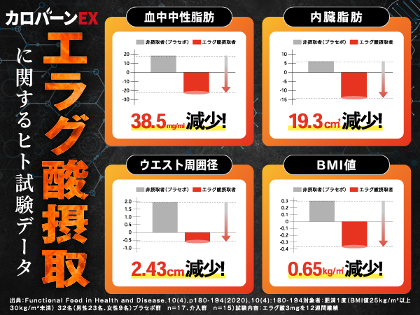 プレミアムA+3枚目（モバイル）