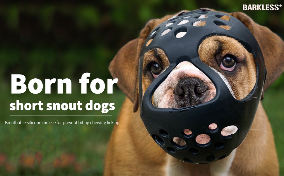 Understanding Dog Muzzles for Short Snouts: A Comprehensive Guide
