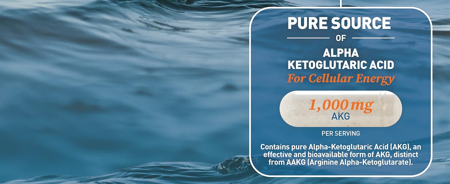 energy support supplement and mitochondrial supplements and nitric oxide supplement for women 