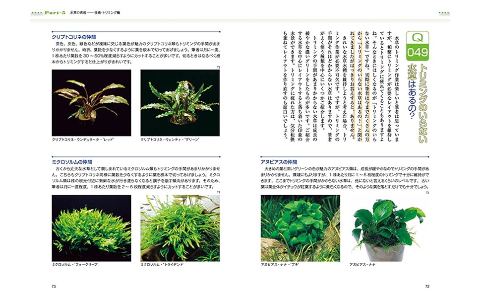 水草QA100-これから水草をはじめたい方に (アクアライフの本